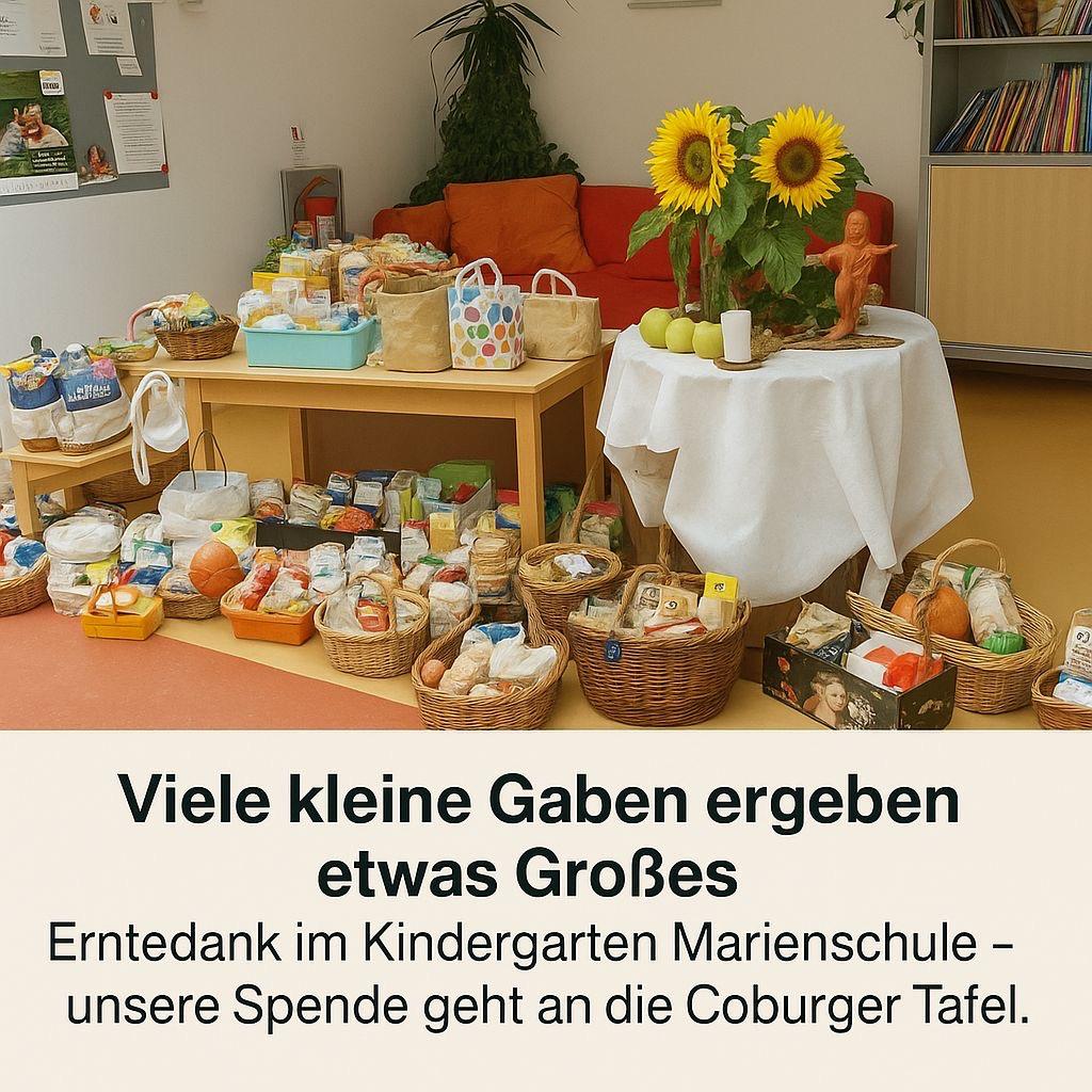 WhatsApp Image 2026-02-10 at 13.33.37